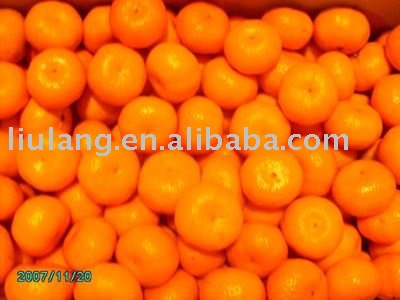 Fresh clementine
