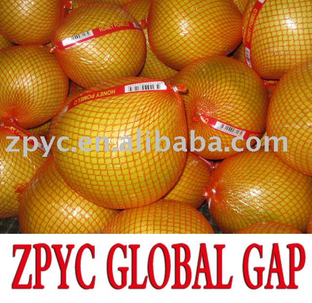 Chinese fresh honey pomelo