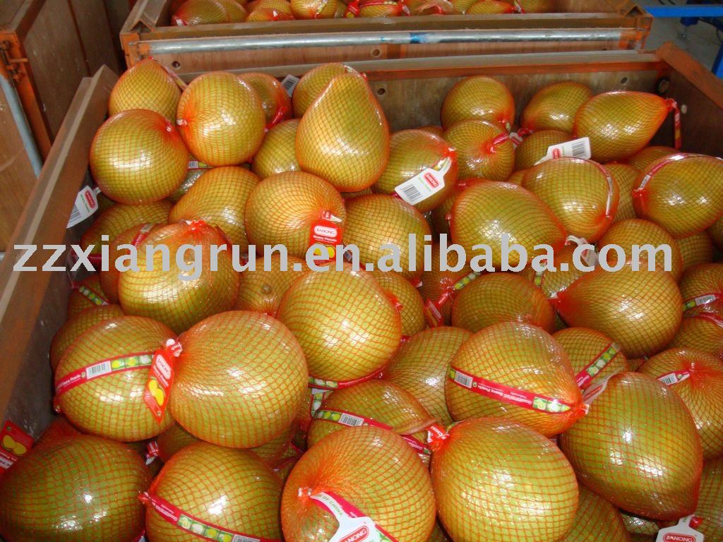 Chinese honey pomelo