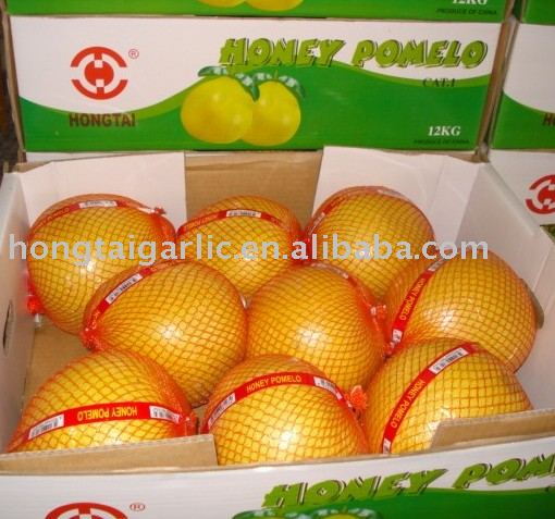 pomelo