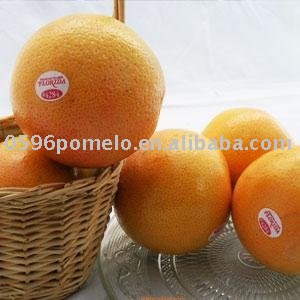 Grapefruit