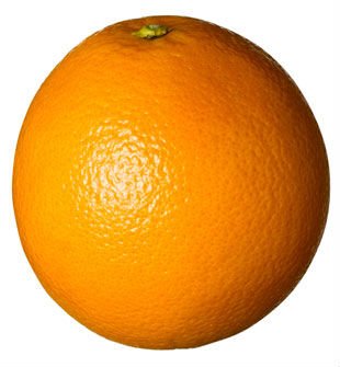 Fresh Citrus (Orange, Mandarine, Grapfruit,  Lemon ,  Lime )