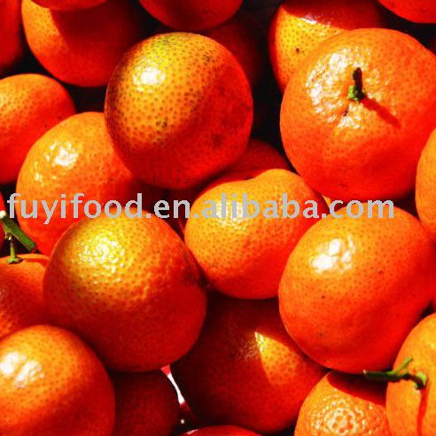 Fresh Tangerine