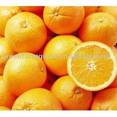 Sweet Navel Orange