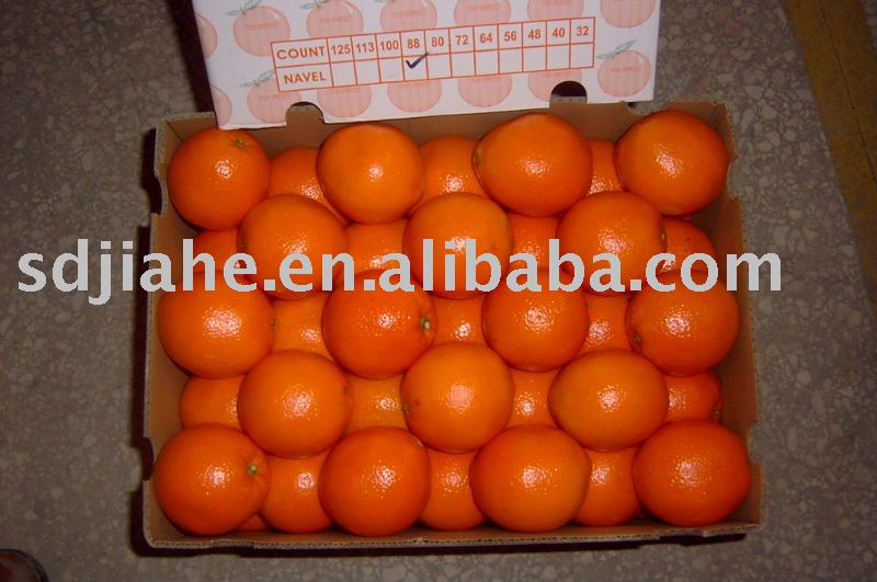 navel orange