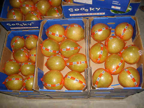 Fresh pomelo;fresh ya pear;fresh fuji apple