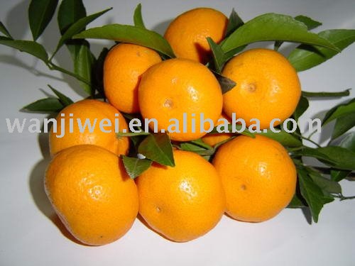 MANDARIN