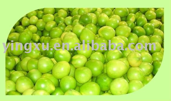  Fresh   pomelo  ( grapefruit , fresh  fruit)
