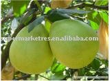 pomelo