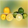 Fresh Sweet Lime