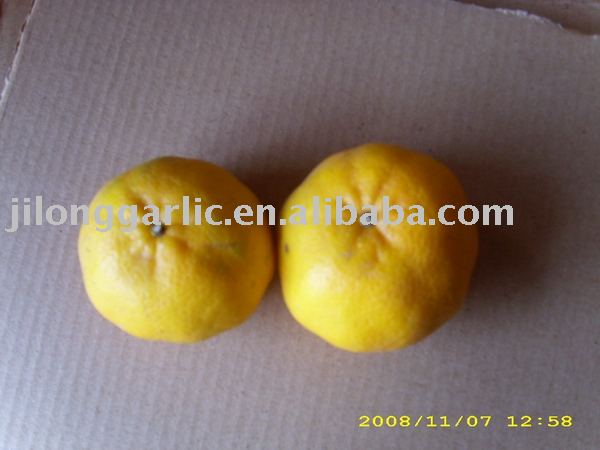 Mandarine Orange