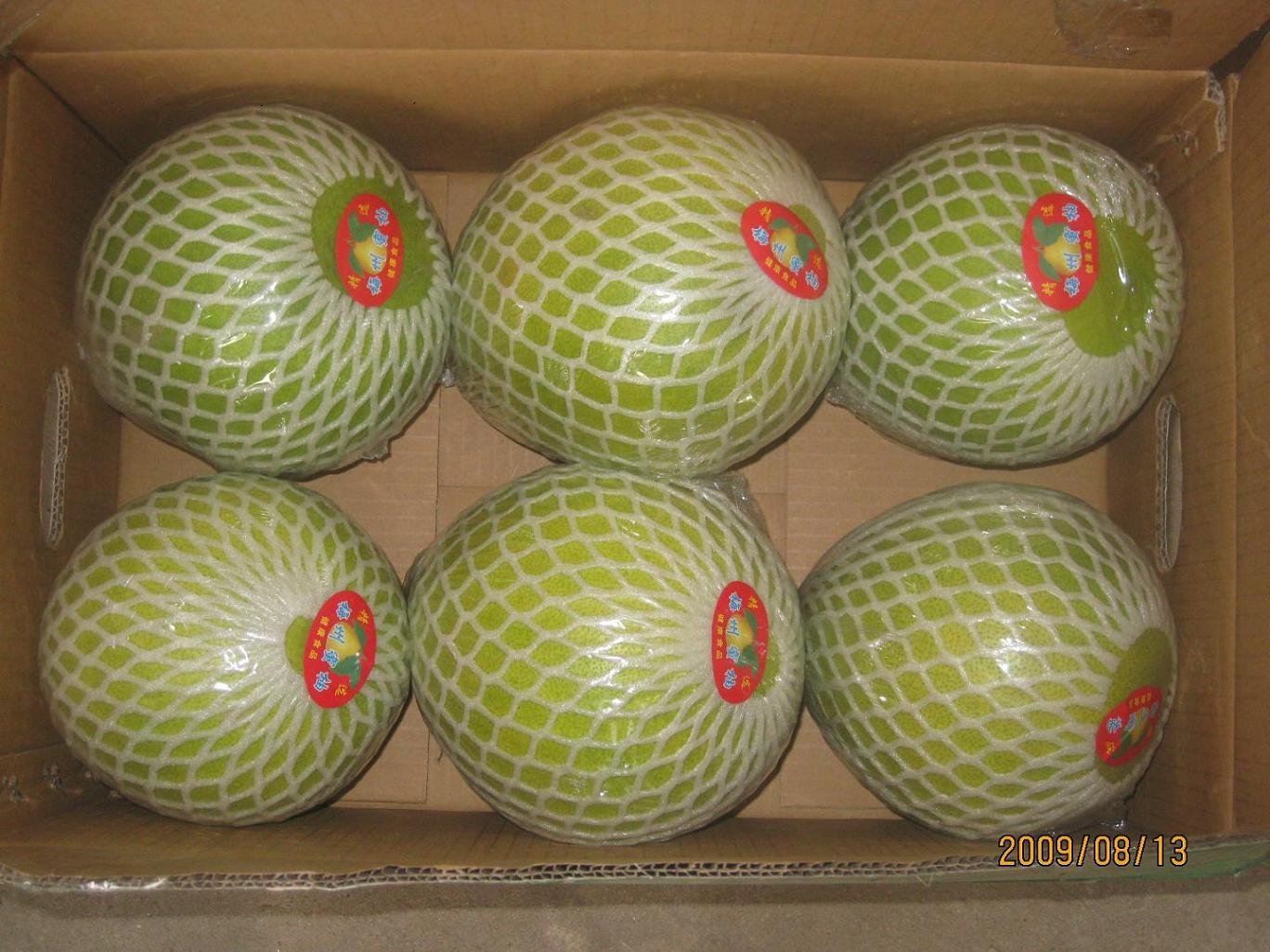 chinese fresh Honey pomelo