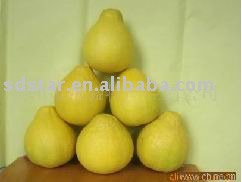 sell pomelo