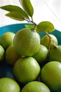 Fresh Medicinal Seedless Limes for Sale(100% Quality)