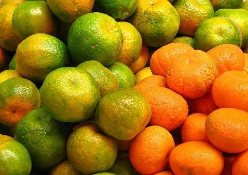 QUALITY CITRUS FRUITS READY FOR EXPORTATION