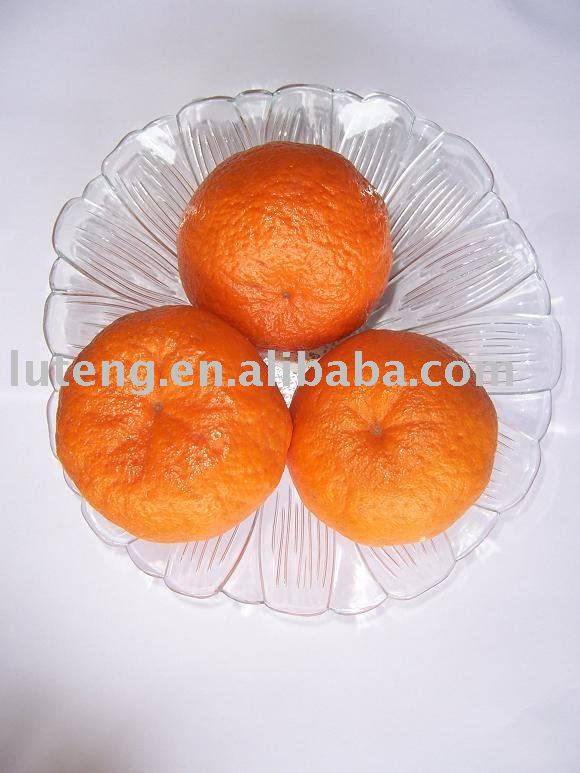 2009 New Crop of Mandarin Orange