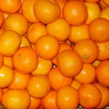 mandarine orange