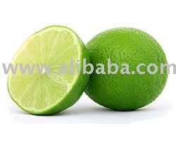 Persian Seedless Fresh Limes For Sale
