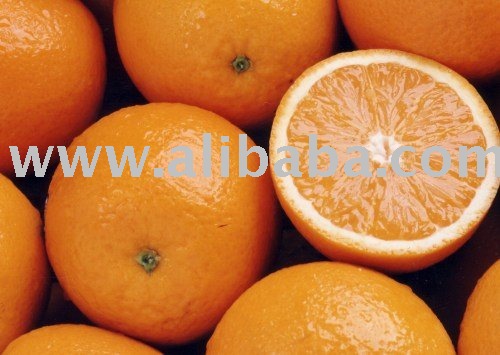 CITRUS FRUITS FOR SELL