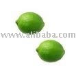 Fresh Lime