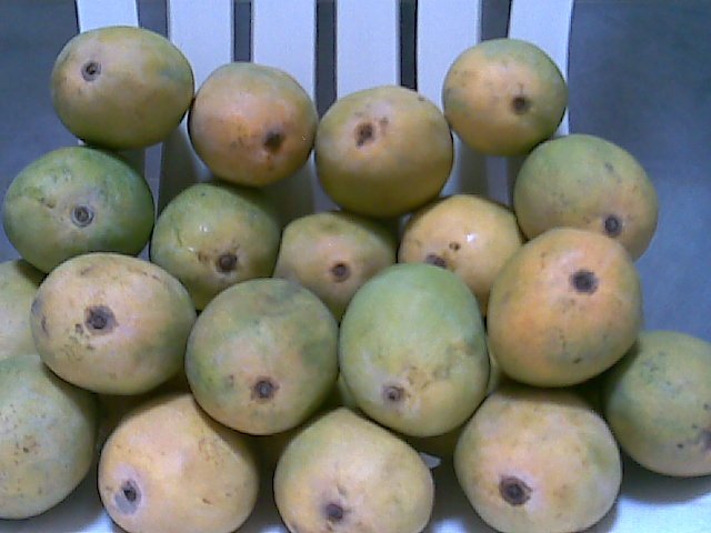 AT-Mangoes And Fresh Fruits.