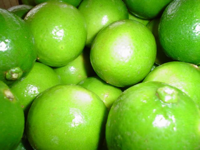 Lemon,Brazil brazilian thaiti lemon price supplier - 21food