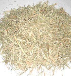 Bagasse (Sugar cane) With High Quality