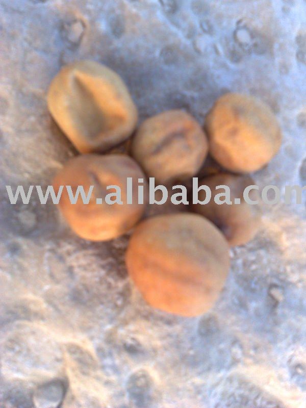 yellow dry lemon