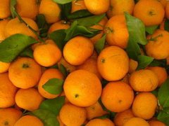 SWEET MANDARIN