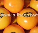 Citrus - Grapefruit