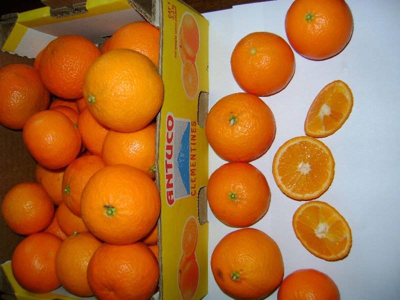 Fresh clementine