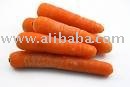fresh fruit carrot