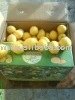 Limon