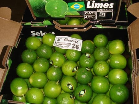 Limones