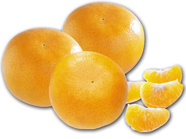 fresh Tangerine