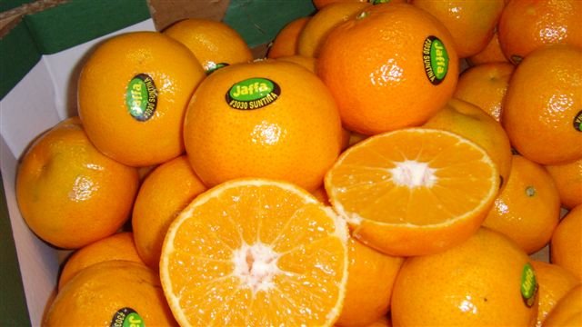 citrus  fruit