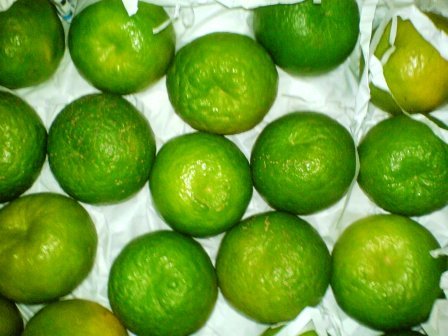 Sweet Lime,India Farm Delight price supplier - 21food