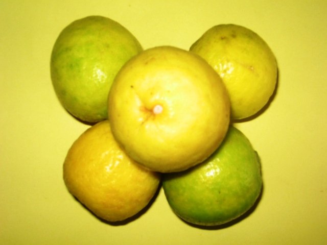 Fresh And Natural Citrus Fruit