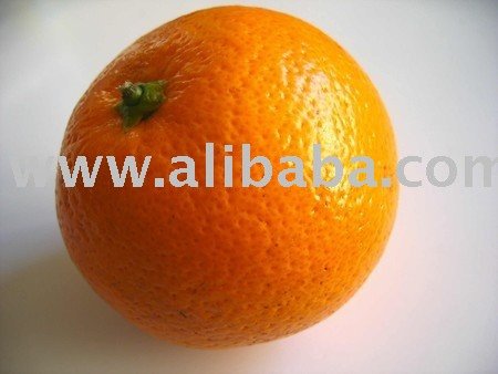 Orange  from  EGY GREEN