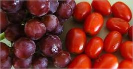 Fesh bitten grapes with best quality