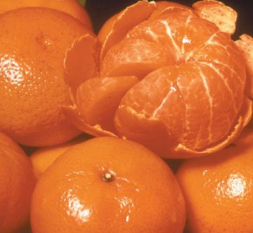 tangerine for sale in bulk