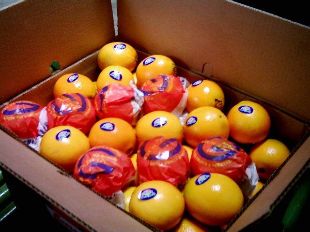  Navel  And  Valencia   Oranges 