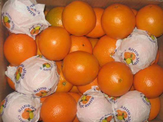 Navel Orange