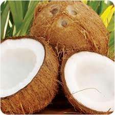coconuts