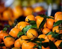 Navel Orange