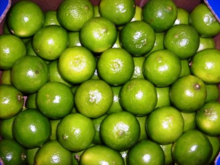 FRESH LIMES
