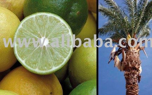 Lime Fruit