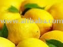 lemon yellow and green