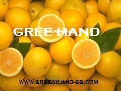 Citrus
