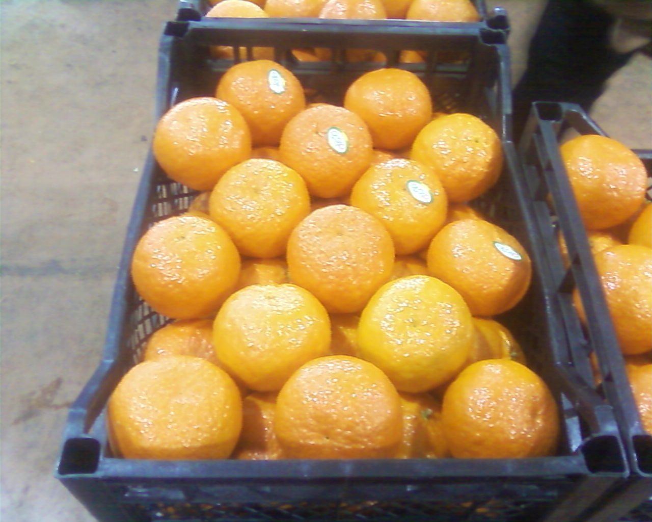 Fresh Mandarin